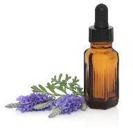 Lavender Essential Oil - 12 Ml- Kama Ayuerveda