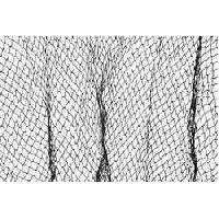 Fishing Net