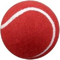 cricket rubber ball