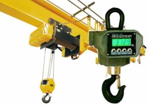 Crane Load Indicator