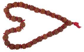 Rudraksha Mala(mediam)