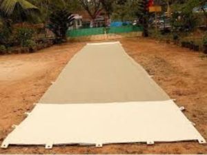 Ae Cricket Coir Mat