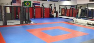 Martial Art Mats