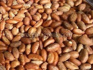 Garcinia cambogia complex einnahme photo 8