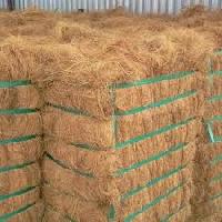 Coir Fibre