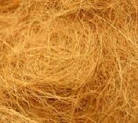 Coir Fibre