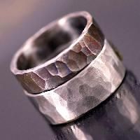 Forged Steel Rings