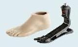 prosthetic foot