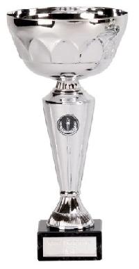 Plastic Silver Trophy Cup