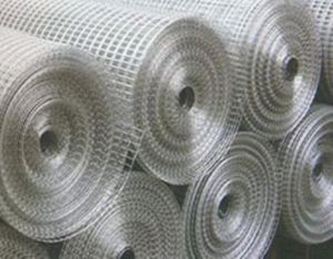 Galvanized Welded Wire Mesh