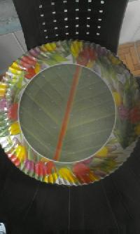 Coloured Disposable Plates