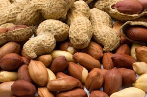 Groundnut Kernels