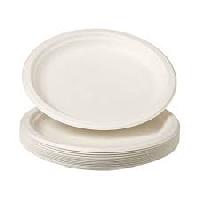 Eco friendly party plates