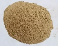 Sugarcane Bagasse