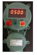 Flameproof Temperature Controller