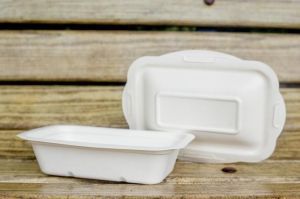 disposable food boxes