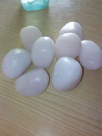 White Pebble Stones 01