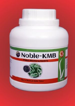 NOBLE KMB