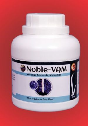 NOBLE-VAM