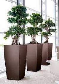 Planter Pots