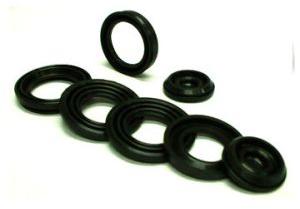 Mechanical Rubber Seals