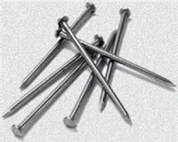 Stainless Steel Nails