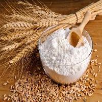 Wheat Flour