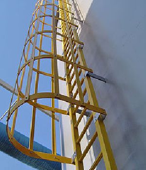 cage ladder