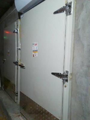 Cold Storage Doors
