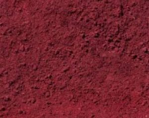 Dehydrated Beetroot Powder