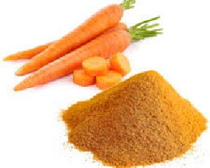 dehydrated carrot powder