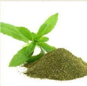 Dehydrated Mint Powder