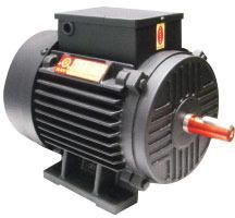 Single Phase Electric Motor