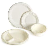 Disposable Plates and Bowls