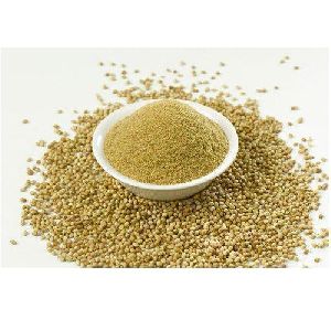 Coriander Seed Powder