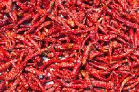 Red Chilly Dried