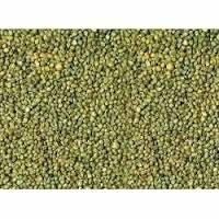 Green Millets