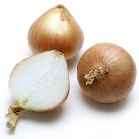 Organic Onion