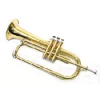 Musical Horns