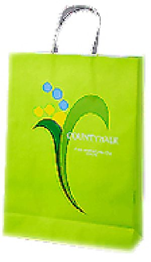 Corporate Promotional paper bag