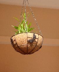 Hanging basket