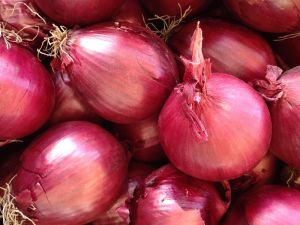 Fresh Red Onion