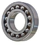 Stainless Steel Bearing