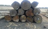 Importe timber log & size's