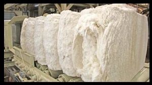 Cotton Yarns