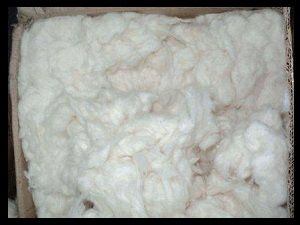 Raw Cotton