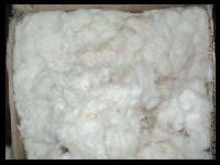 Raw Cotton