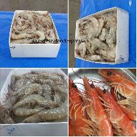Vannamei shrimp / prawn