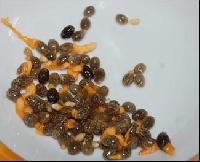 Papaya Seeds