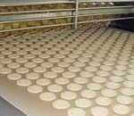 Light Weight Biscuit Webbing Conveyor Belt